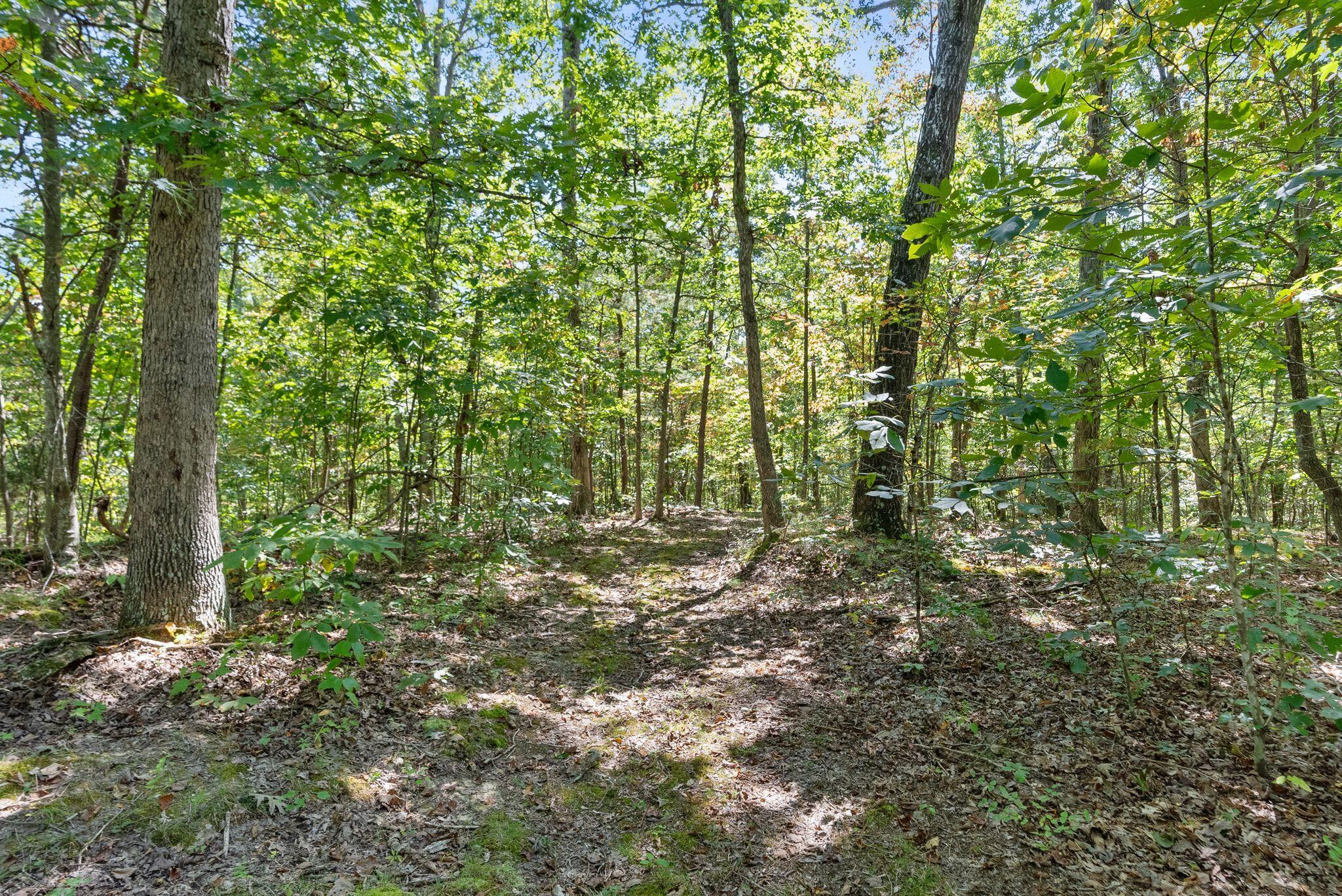 2239 Old State Road Olympia, KY 40358 - Photo 26 of 28 29_DSC08832
