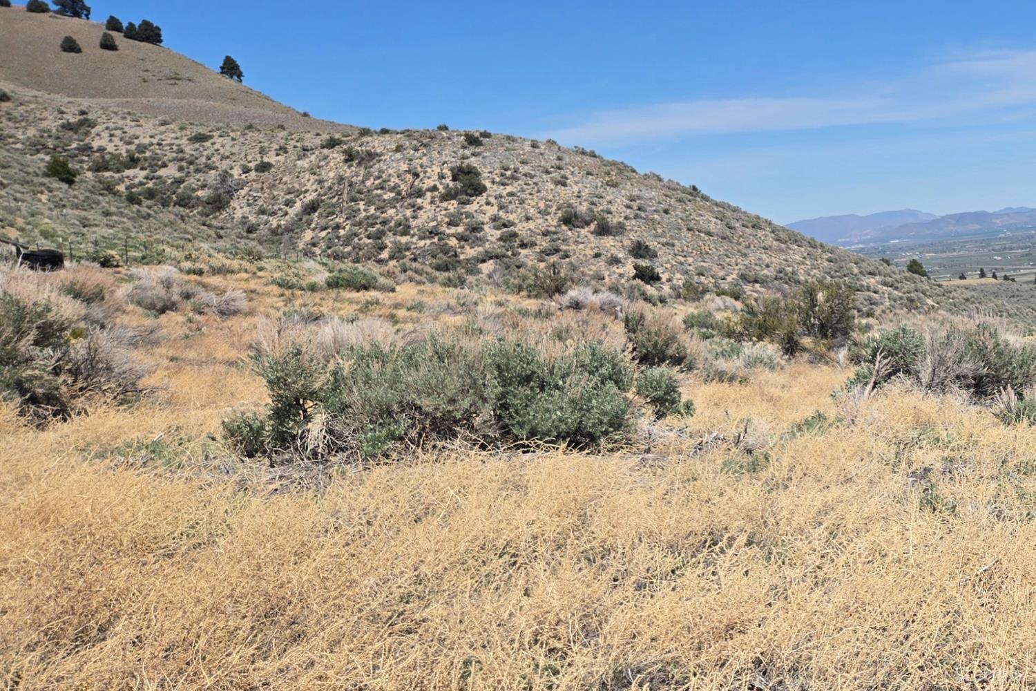 355 Shakehill Road Markleeville, CA 96120 - Photo 20 of 22