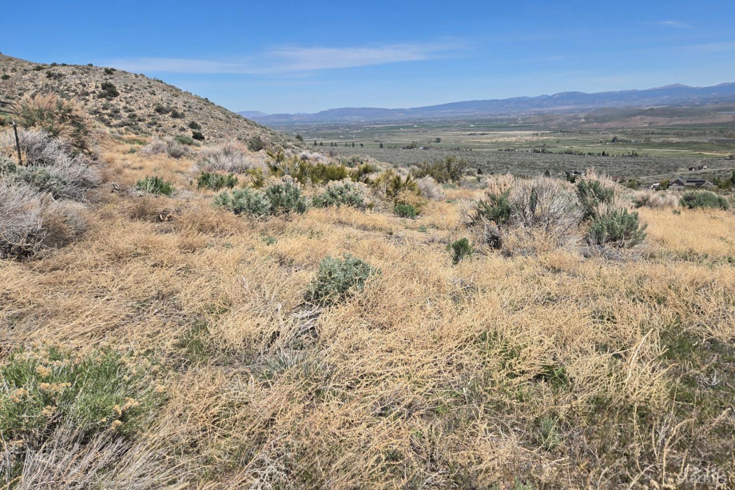 355 Shakehill Road Markleeville, CA 96120 - Photo 22 of 22