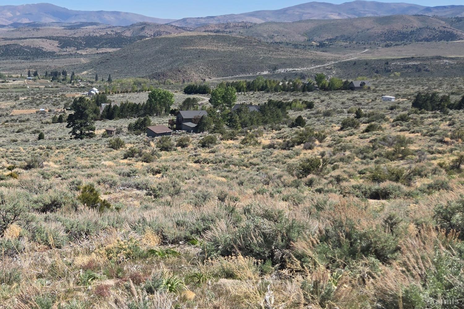 355 Shakehill Road Markleeville, CA 96120 - Photo 8 of 22