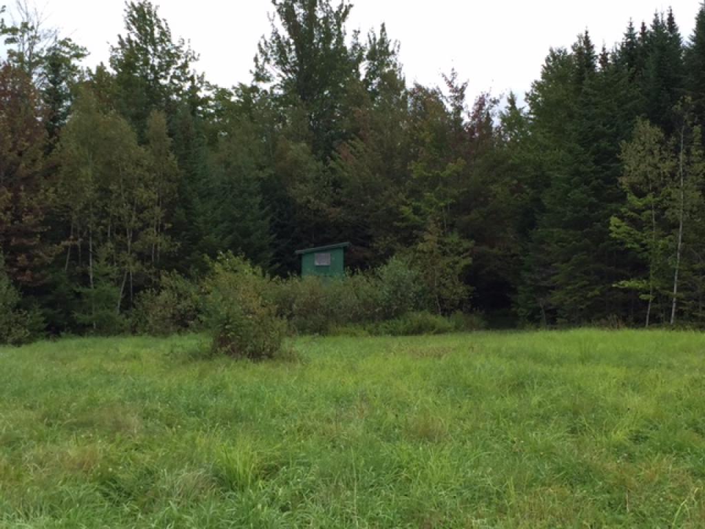 534 Williams Road Morgan, VT 05853 - Photo 20 of 25