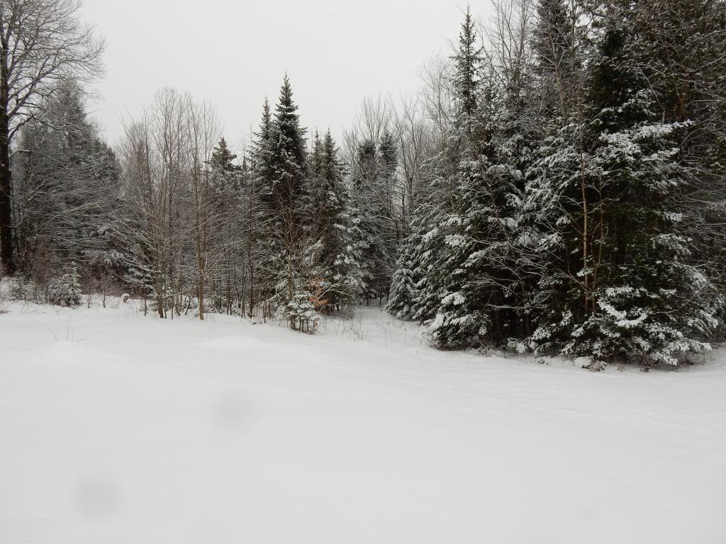 534 Williams Road Morgan, VT 05853 - Photo 25 of 25