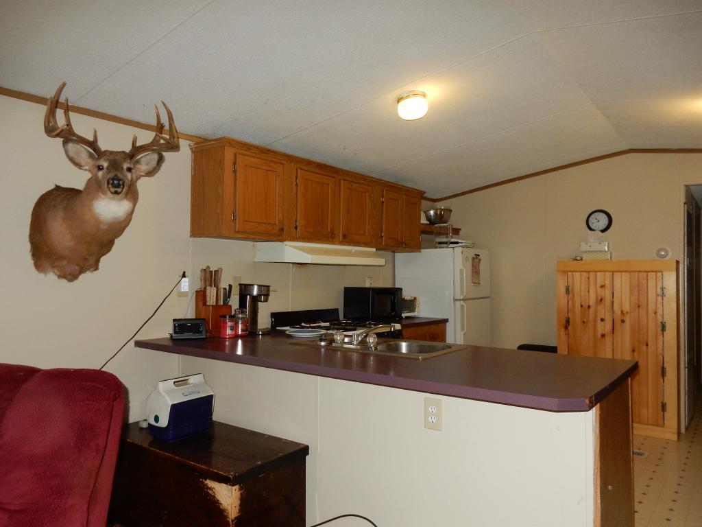 534 Williams Road Morgan, VT 05853 - Photo 6 of 25