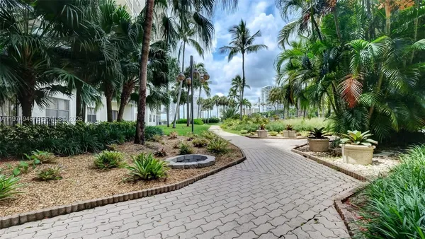 a view of a backyard with palm trees