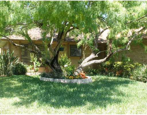 a view of a garden with a tree