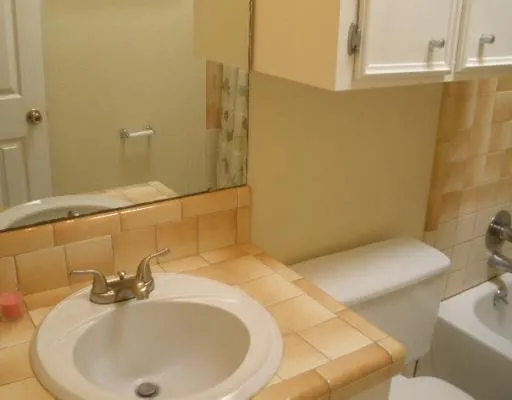 a bathroom with a sink and a toilet
