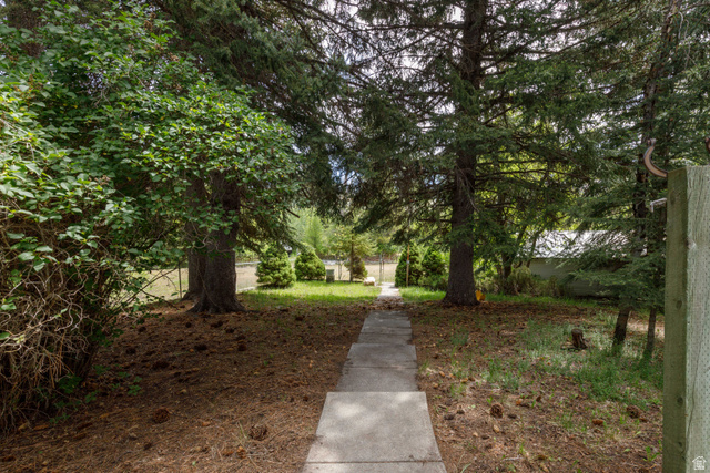 6449 North North Fork Road Eden, UT 84310 - Photo 37 of 38 Concrete pathway flanked by mature evergreen trees