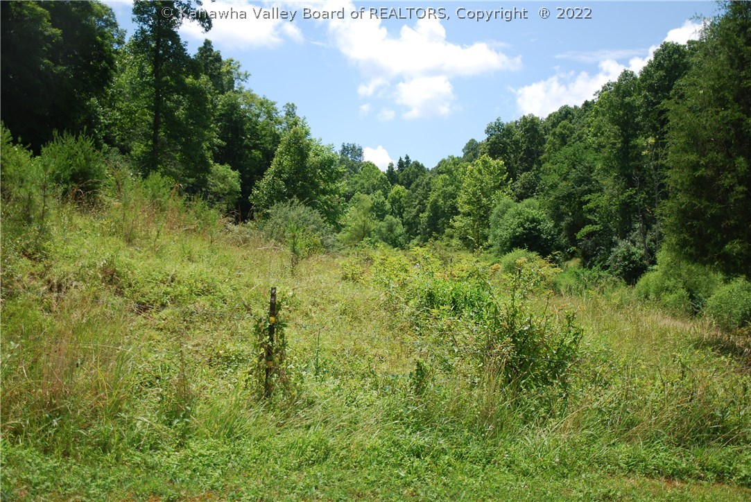 3621 Beech Fork Road Leon, WV 25123 - Photo 2 of 7 Gallery Image 2