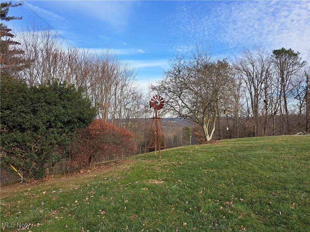 2781 Bloomfield Road Cambridge, OH 43725 - Photo 12 of 50 View of yard