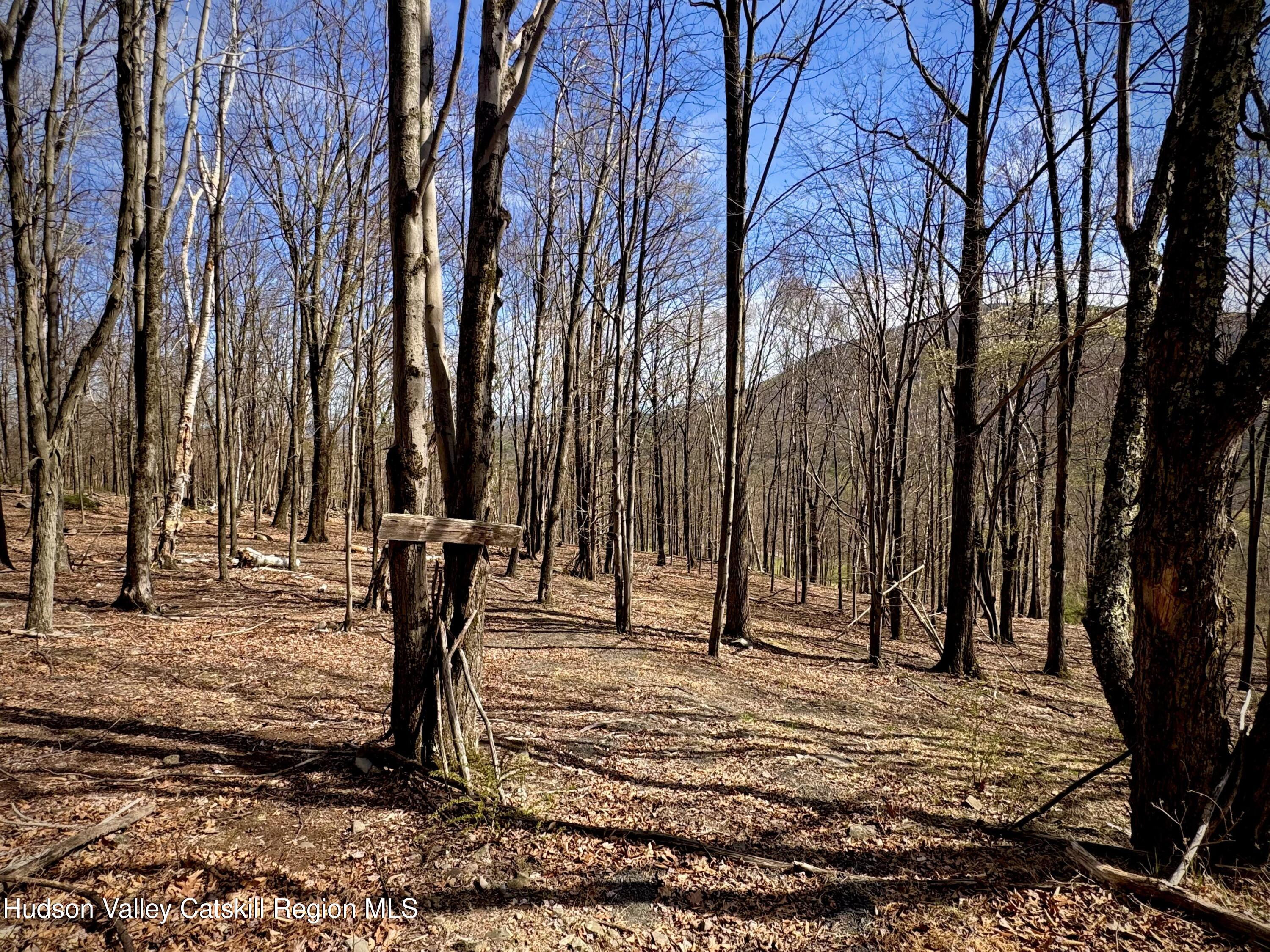 48 Hillside Drive West Shokan, NY 12494 - Photo 28 of 30 a backyard of a house with lots of green space