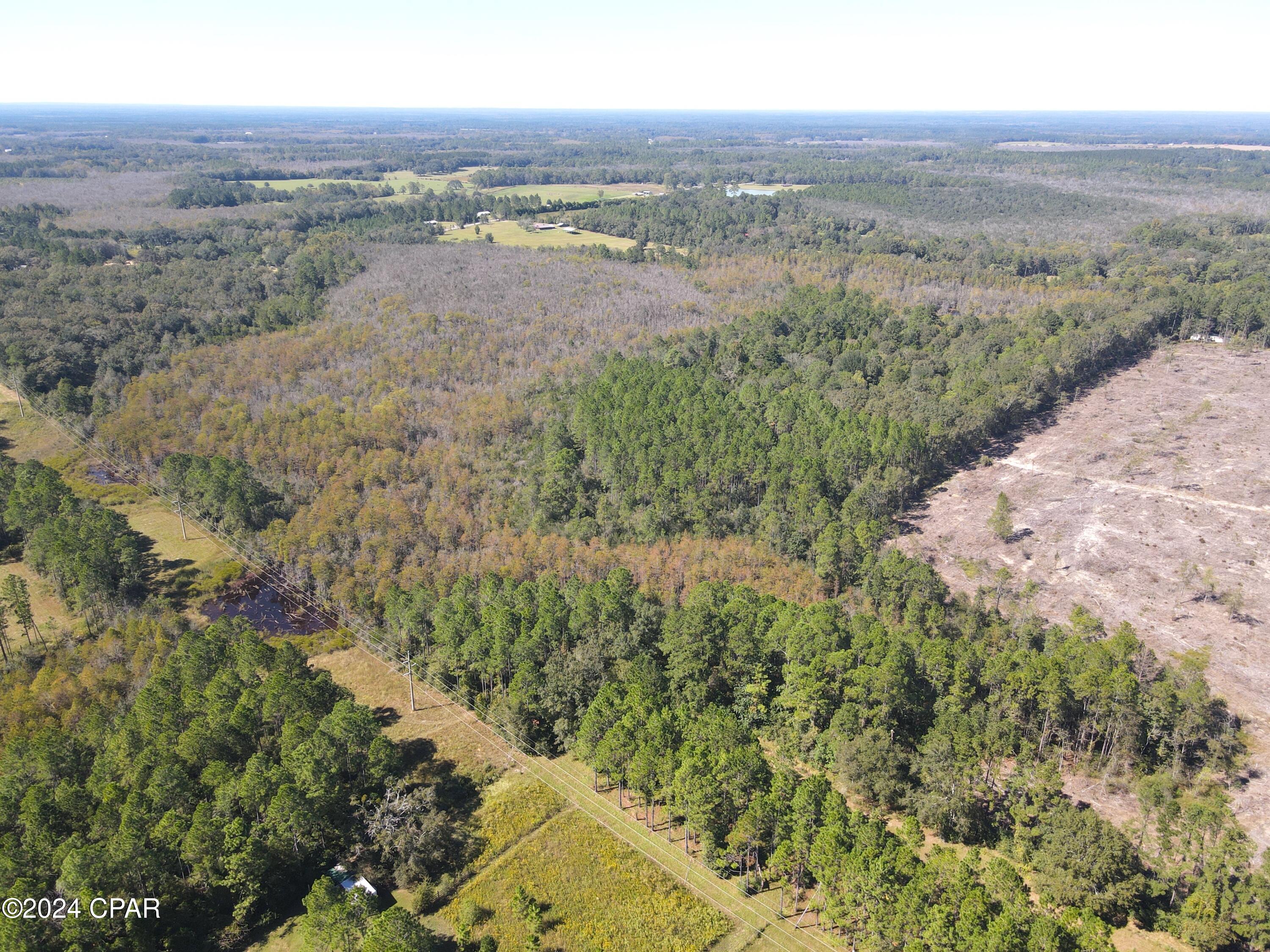 2270 Boswell Road Bonifay, FL 32425 - Photo 29 of 33 Gallery Image 29