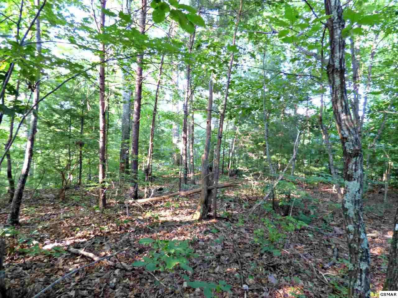 4 Powdermill Estates Road Sevierville, TN 37876 - Photo 7 of 10 Gallery Image 7