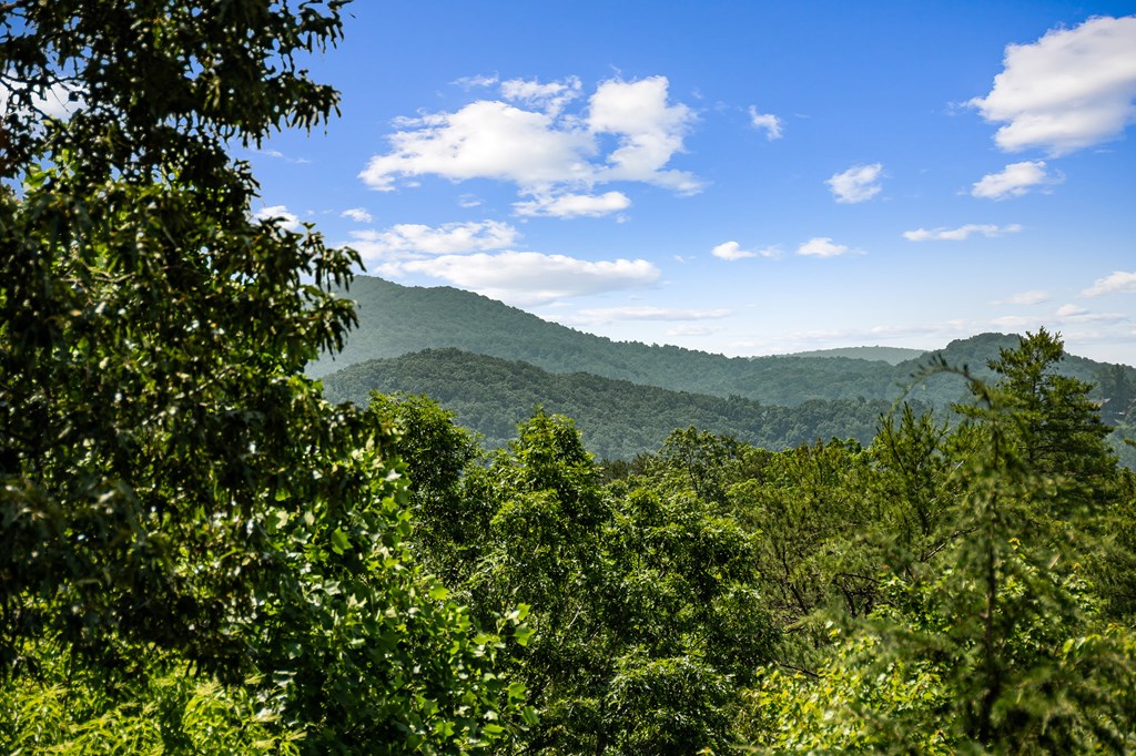 223 Mountain Tops Road Blue Ridge, GA 30513 - Photo 4 of 80 Gallery Image 4