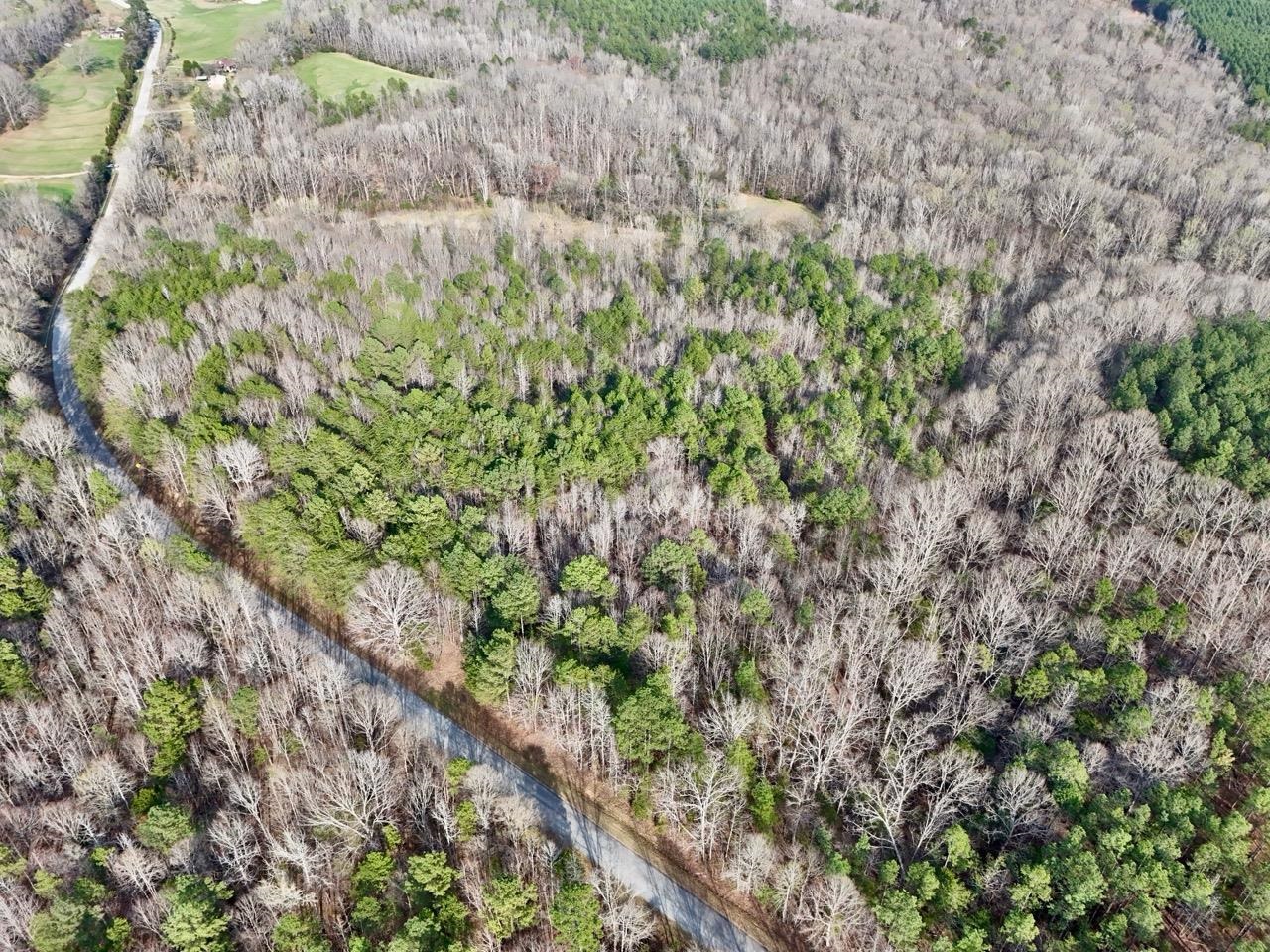 0 Vanderford Road Union, SC 29379 - Photo 11 of 12