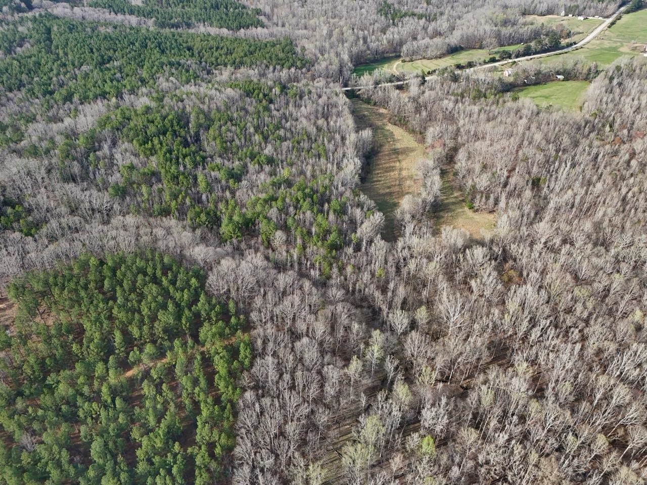 0 Vanderford Road Union, SC 29379 - Photo 2 of 12