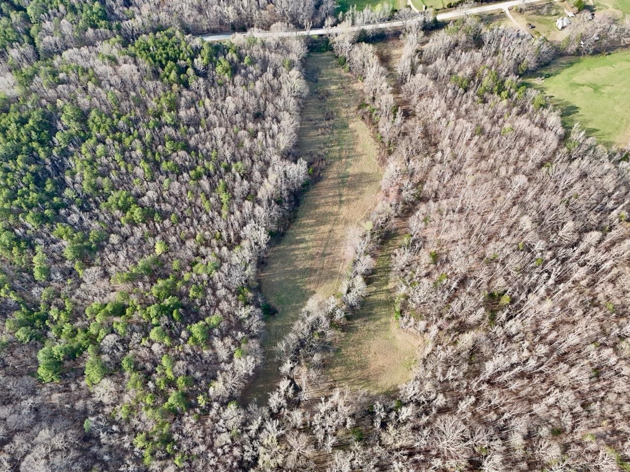 0 Vanderford Road Union, SC 29379 - Photo 4 of 12