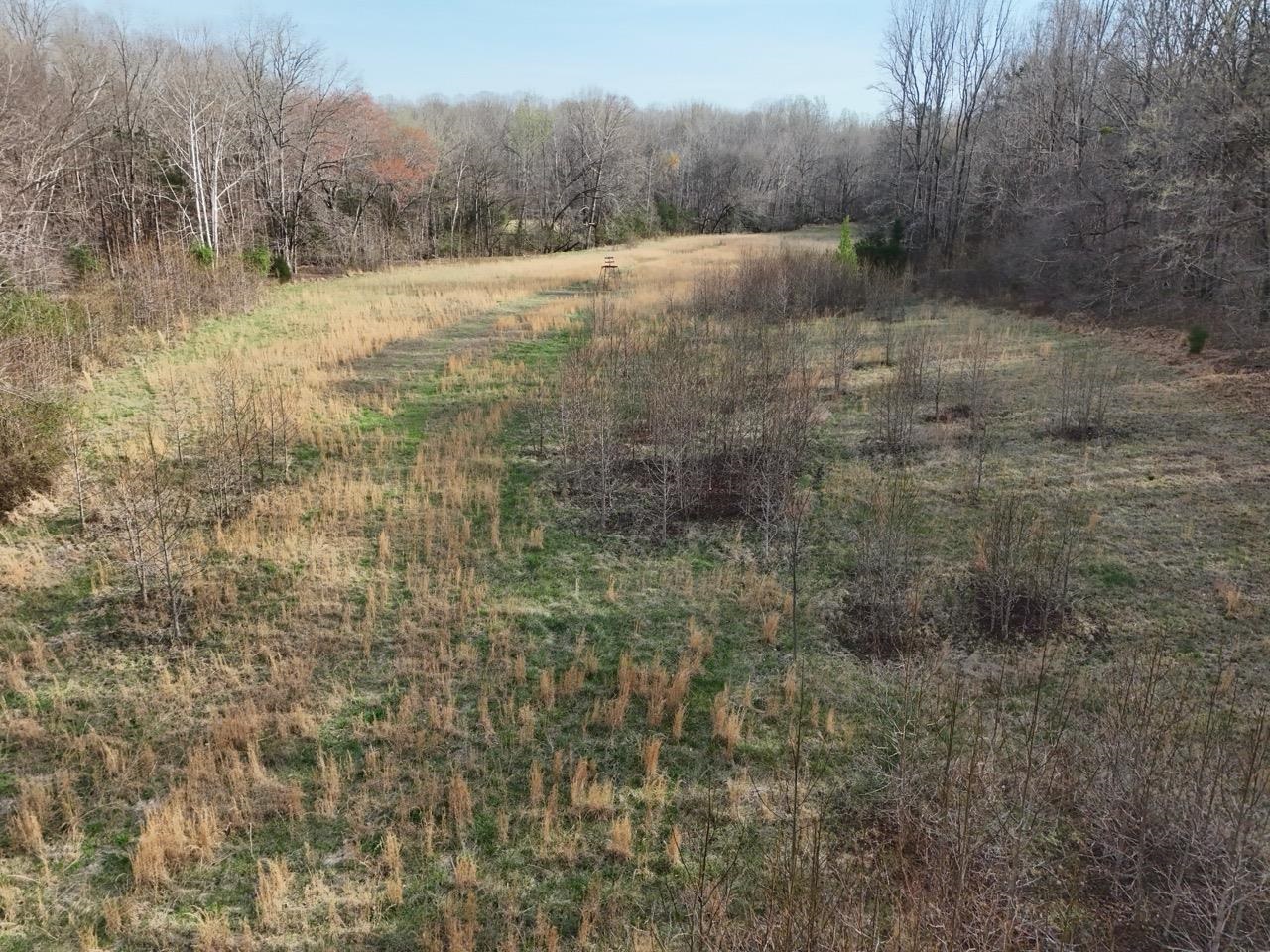 0 Vanderford Road Union, SC 29379 - Photo 5 of 12