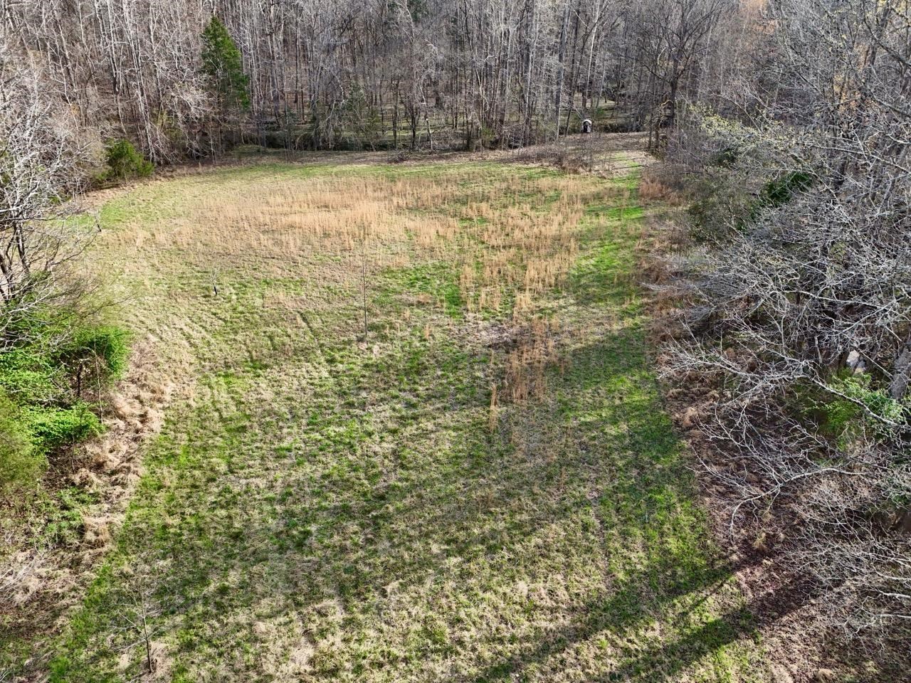 0 Vanderford Road Union, SC 29379 - Photo 6 of 12