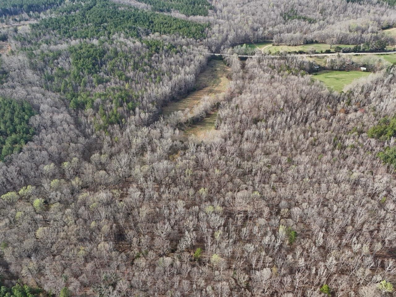 0 Vanderford Road Union, SC 29379 - Photo 7 of 12