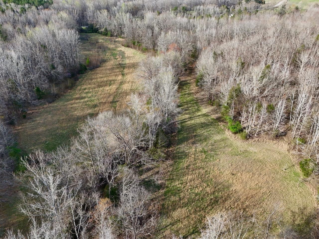 0 Vanderford Road Union, SC 29379 - Photo 9 of 12