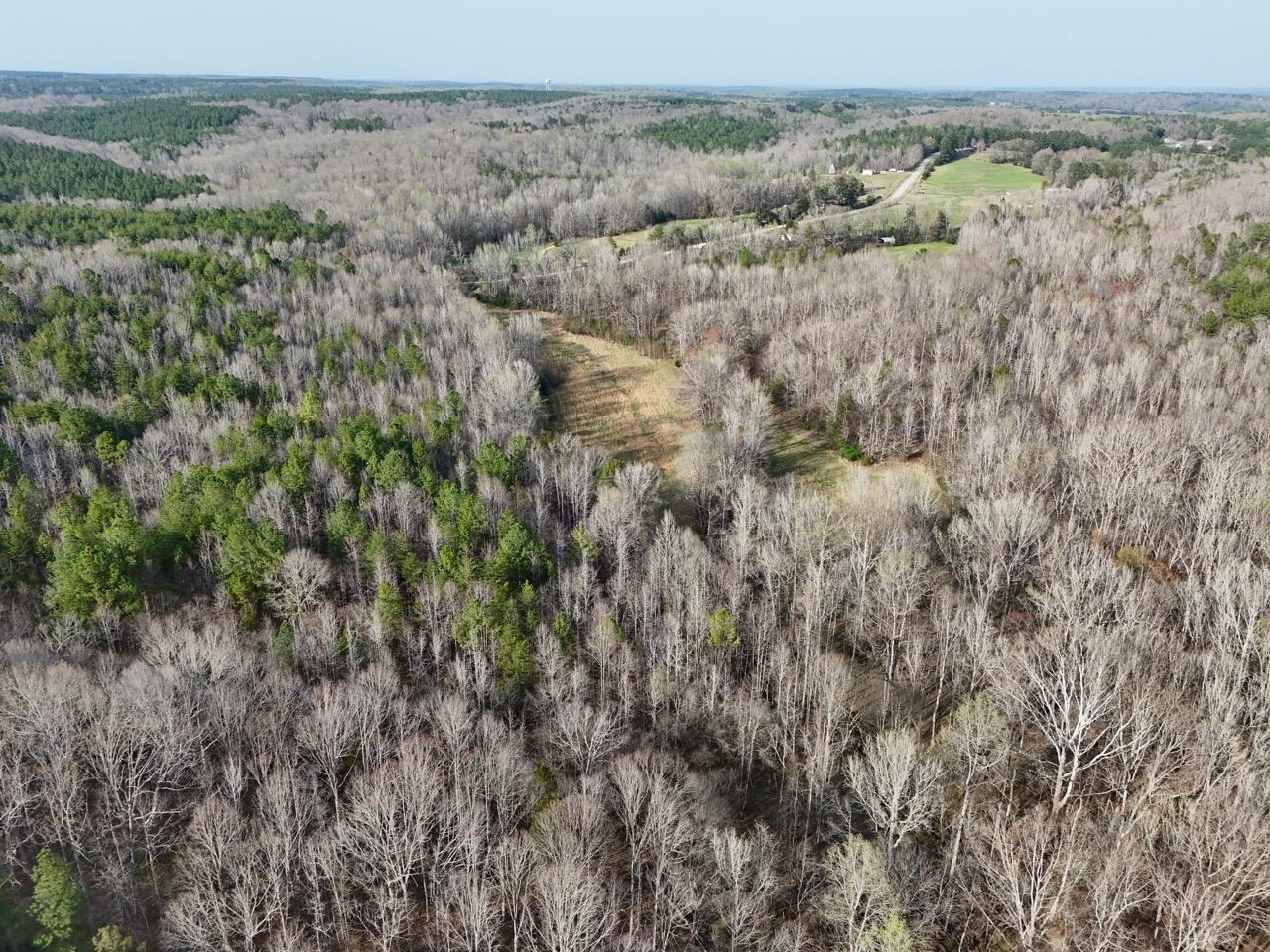 0 Vanderford Road Union, SC 29379 - Photo 10 of 12