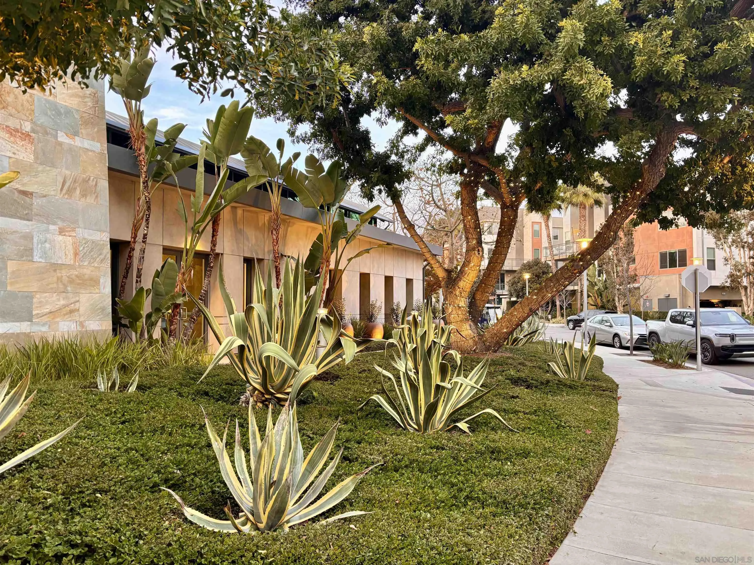 612 Rockefeller Irvine, CA 92612 - Photo 49 of 49 a view of a yard with plants and trees
