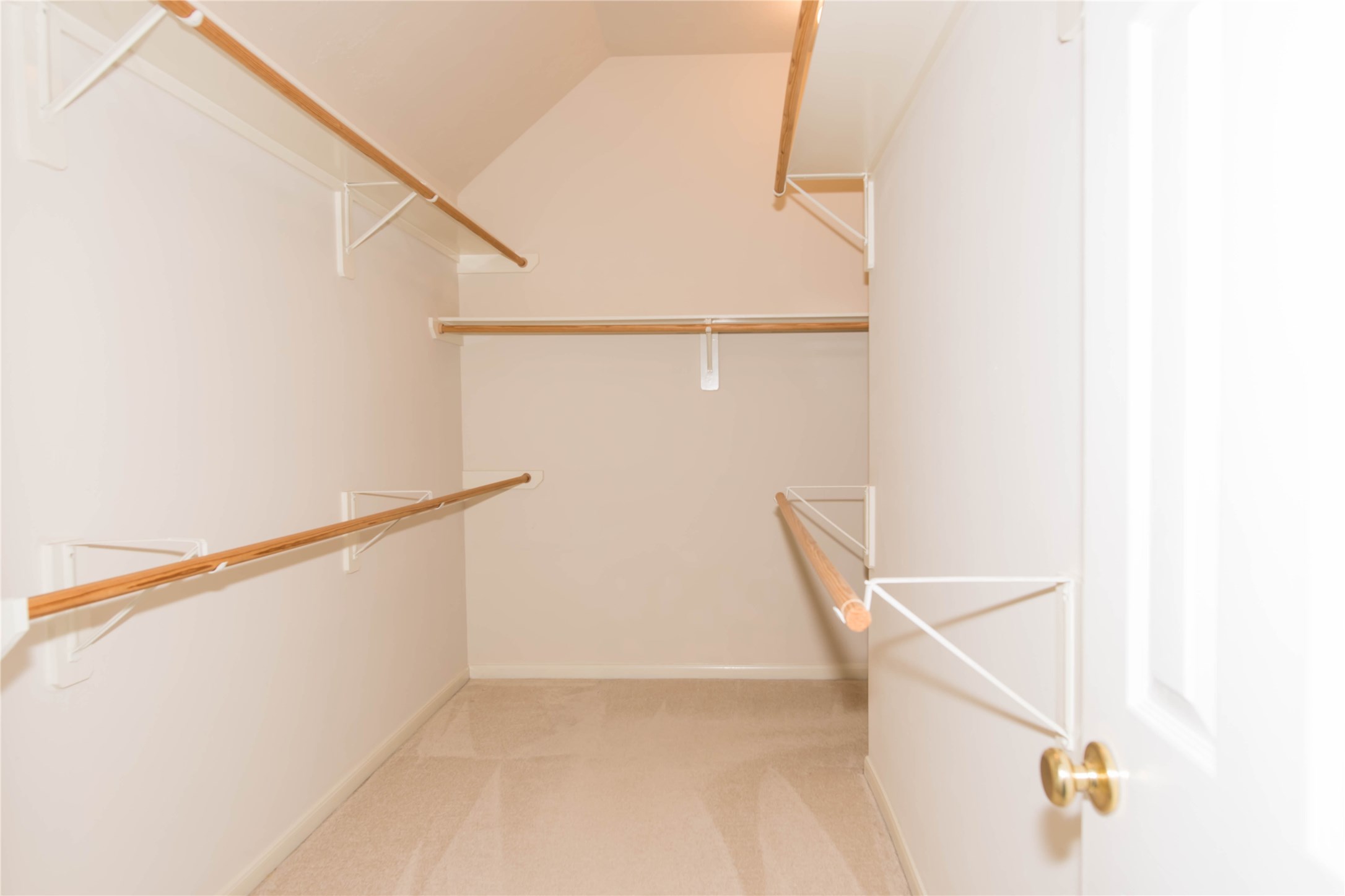9115 Sunny Ridge Drive Houston, TX 77095 - Photo 19 of 20 a view of entryway