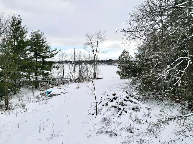 $159,999 | Vl West Vl W Cannonsville Road, Trufant, MI 49347