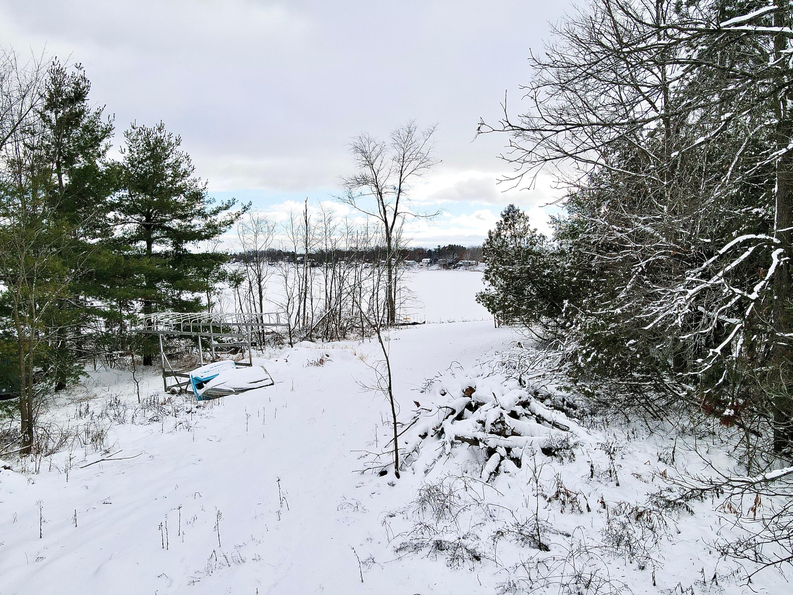 Vl West Vl W Cannonsville Road Trufant, MI 49347 - Photo 2 of 7 dji_fly_20251211_14