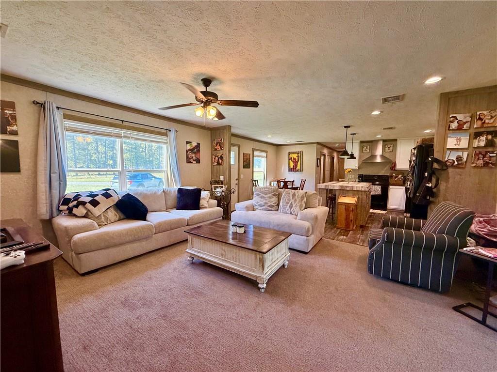 153 Slay Road Olla, LA 71465 - Photo 5 of 34 Gallery Image 5