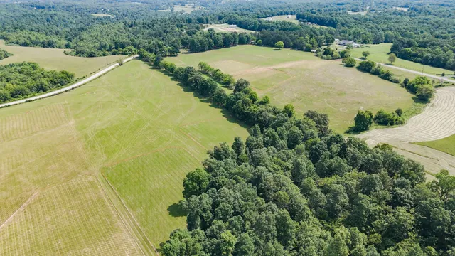 a view of a yard in front of a house