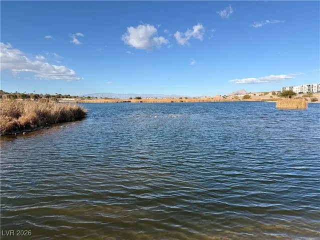 $3,495 | 169 Fulgora Street, Henderson, NV 89074