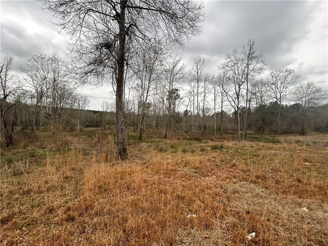 2 Boy Scout Road Forest Hill, LA 71430 - Photo 3 of 10 Gallery Image 3
