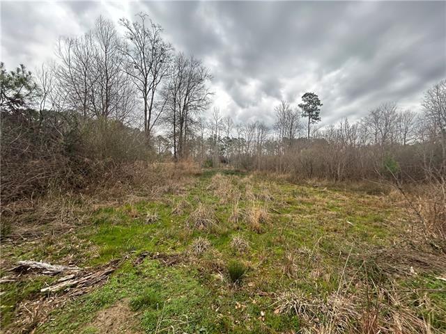 2 Boy Scout Road Forest Hill, LA 71430 - Photo 8 of 10 Gallery Image 8