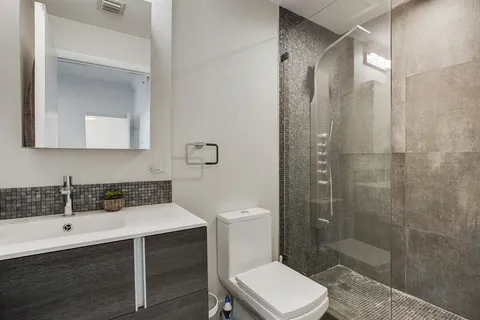 a bathroom with a sink toilet a mirror and shower