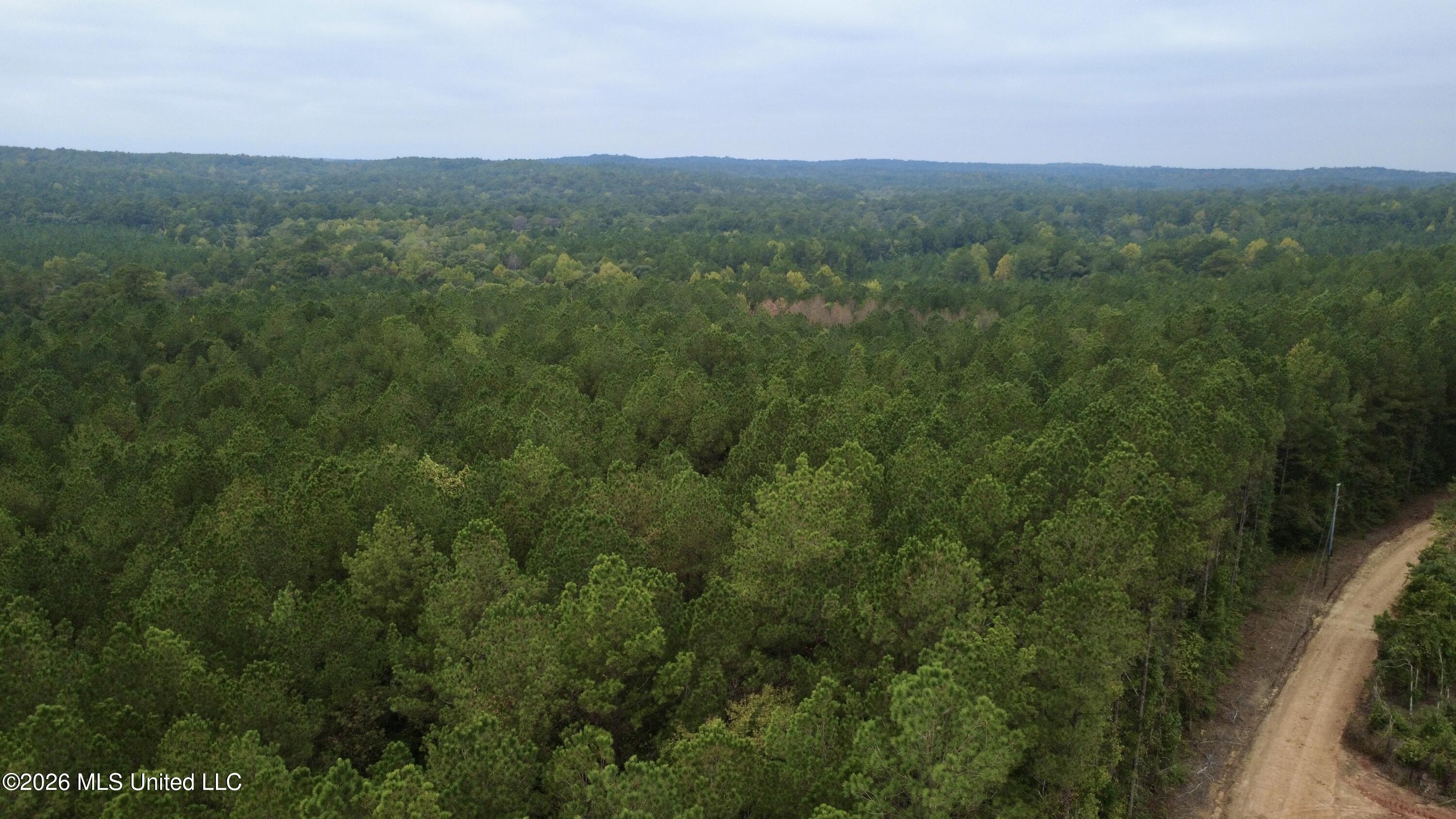East Bethel Road Sturgis, MS 39769 - Photo 22 of 23 IMG_4302