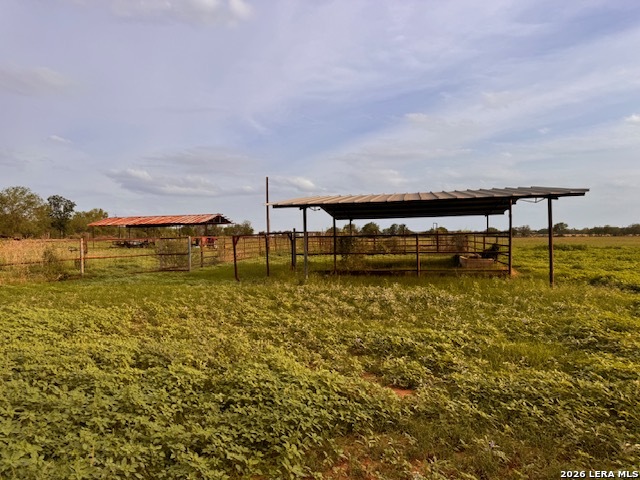 1115 County Road 669 Devine, TX 78016 - Photo 3 of 9