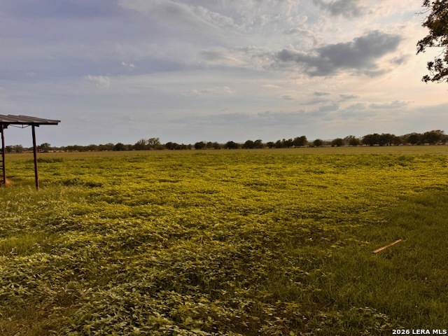 1115 County Road 669 Devine, TX 78016 - Photo 4 of 9