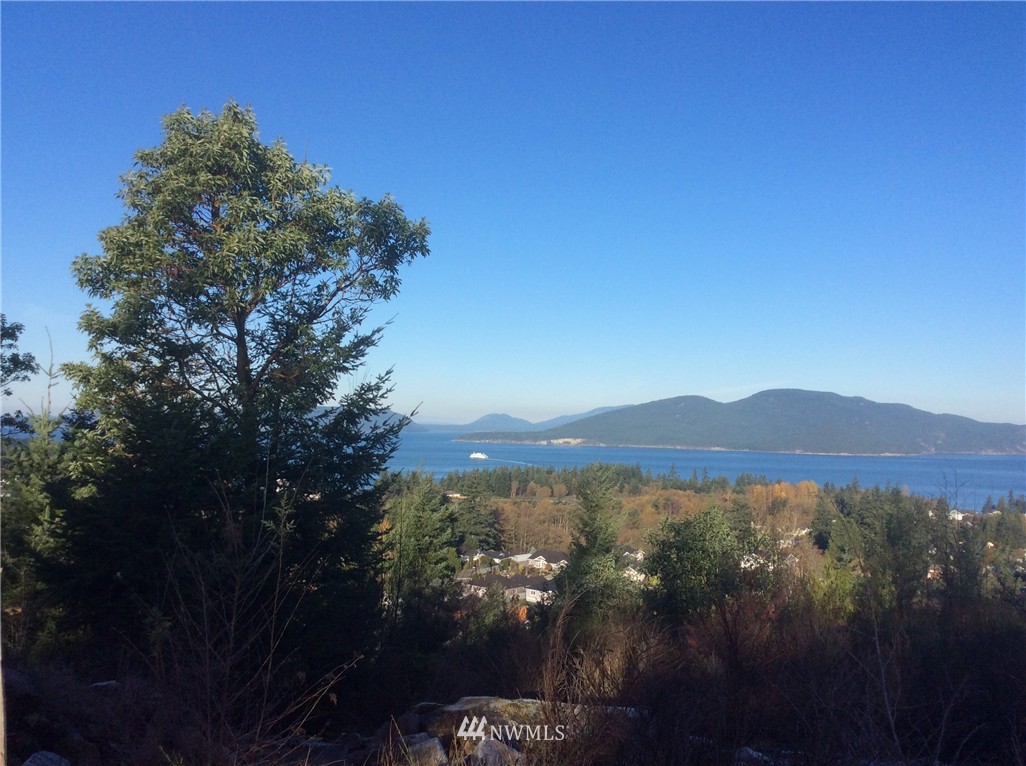 4 South Phase 4&5 Rock Ridge Anacortes, WA 98221 - Photo 3 of 4 Gallery Image 3