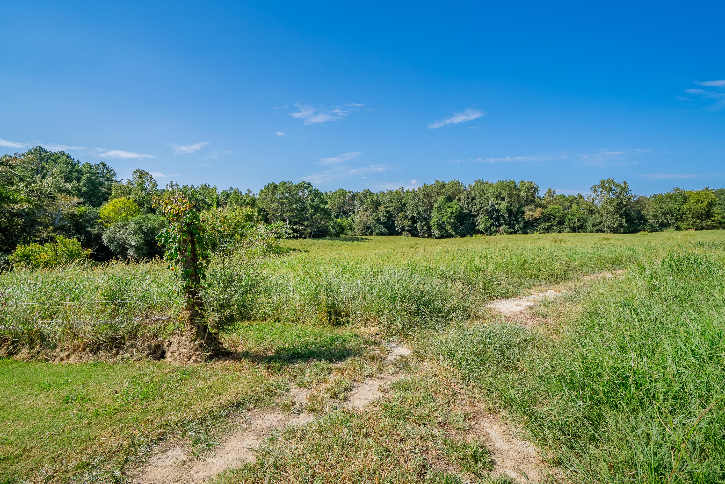 4125 Dunnagan Road Rocky Face, GA 30740 - Photo 66 of 74 4125dunnagan-86