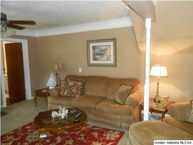 39 Price Lane Oneonta, AL 35121 - Photo 11 of 26