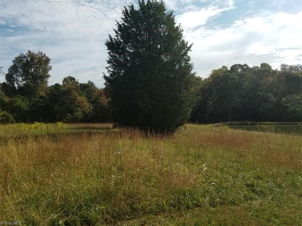 0 Ridge Road Winston-Salem, NC 27107 - Photo 3 of 10 Gallery Image 3