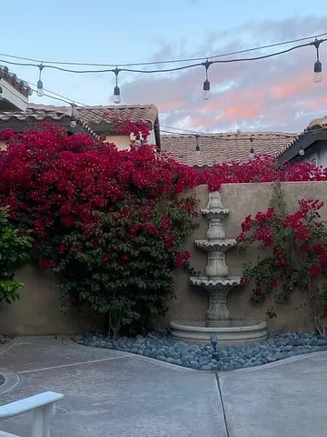 a view of a flower in a yard