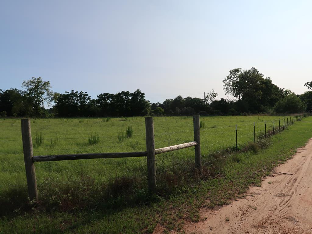 0 East Columbia Road Newville, AL 36353 - Photo 5 of 15