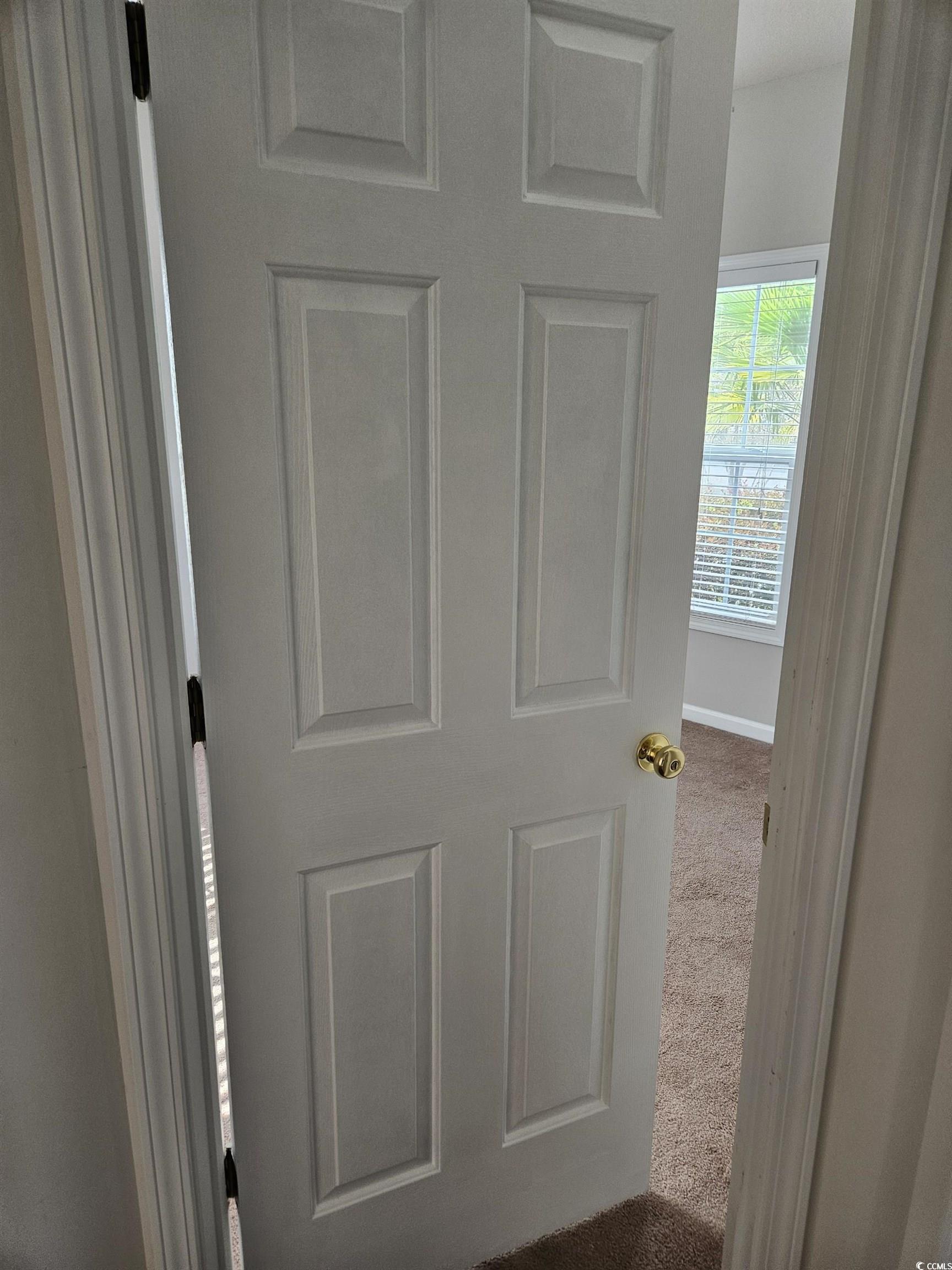 237 Moonglow Circle, Unit 102 Murrells Inlet, SC 29576 - Photo 18 of 35 Detailed view of carpet flooring and baseboards