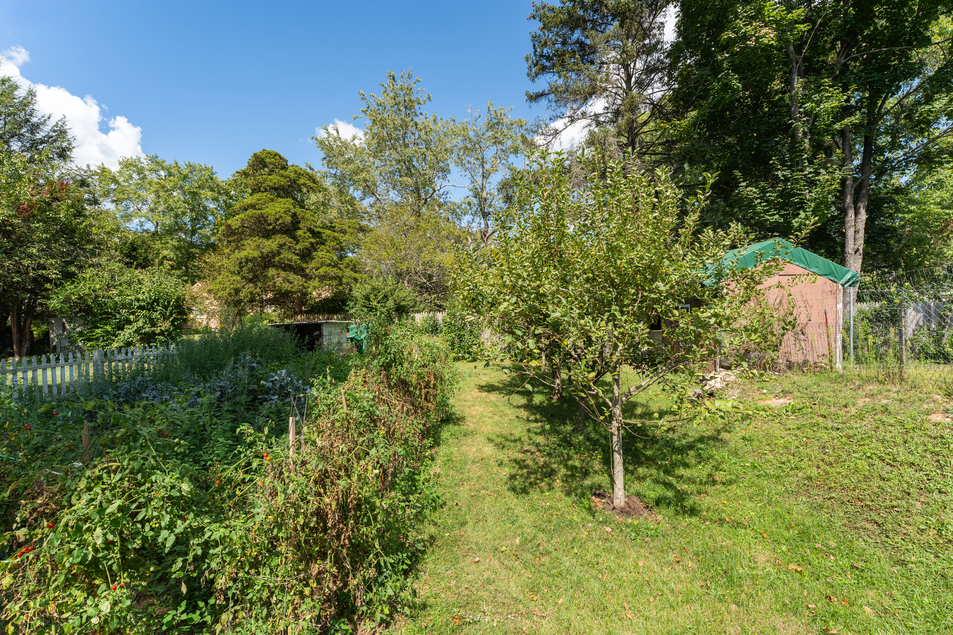 64 Dohm Avenue Guilford, CT 06437 - Photo 33 of 38 A thriving vegetable garden and fruit trees for you to enjoy