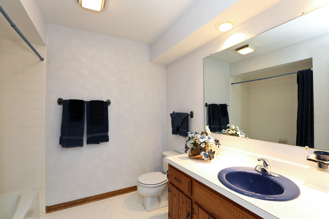 3491 Ronald Road Crete, IL 60417 - Photo 13 of 21
