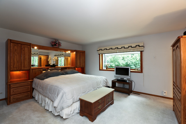 3491 Ronald Road Crete, IL 60417 - Photo 10 of 21