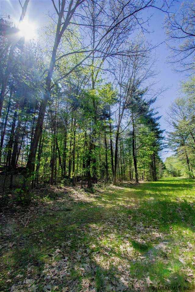 47 Wake Robin Road Malta, NY 12020 - Photo 23 of 23 Photo 23