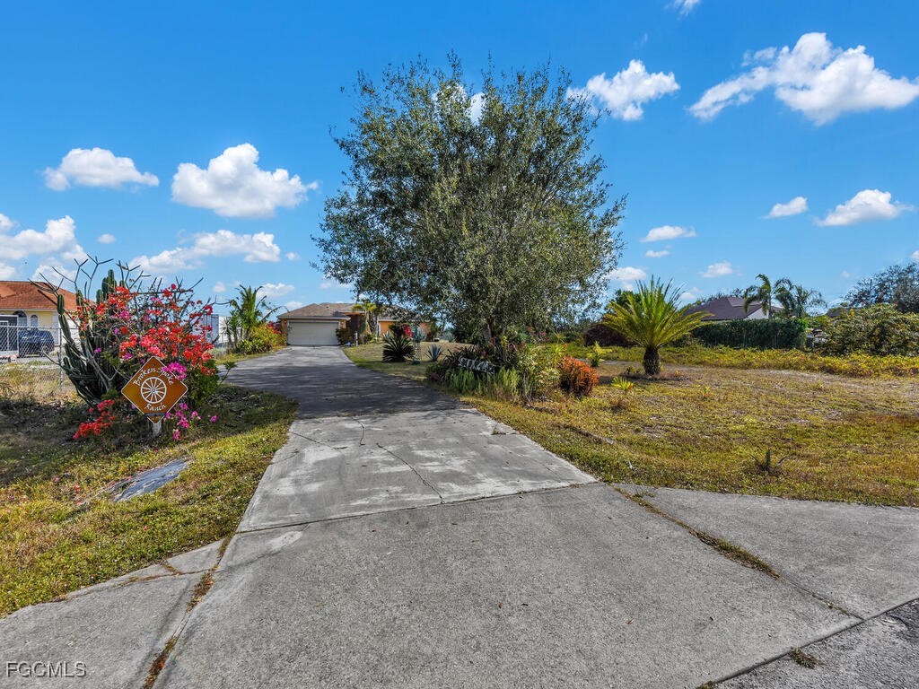 4370 20th Street Northeast Naples, FL 34120 - Photo 33 of 35 a view of a garden with a tree in a yard
